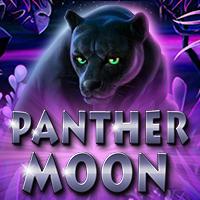 Panther Moon